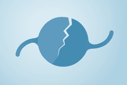 STAAR Surgical Shareholders Reject Alcon Merger